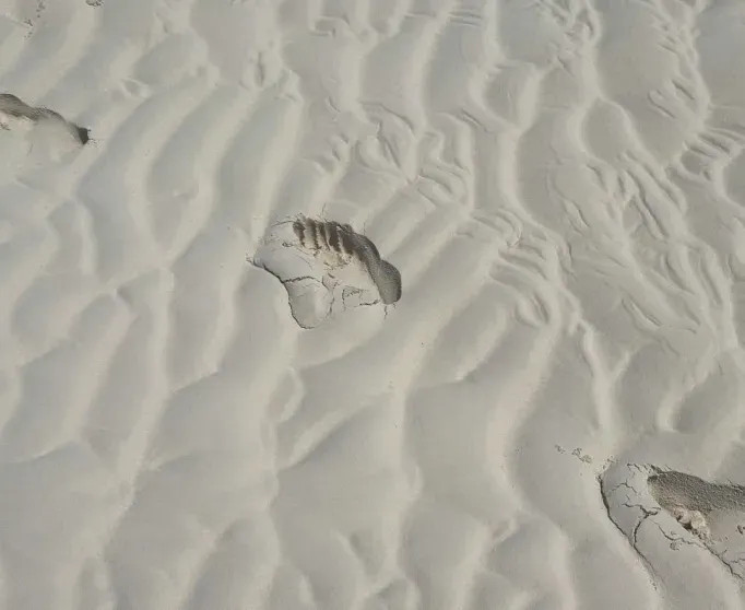 Кайли Дженнер в бикини и Тимоти Шаламе отдыхают вместе на уединённом острове ДженнерКайли, Кайли, ДженнерТимоти, ШаламеКайли, Шаламе, Тимоти, ДженнерФото, Дженнер, вместе, отдыхают, актёр, дочерью, также, рэпером, Деппа, тайной, угодил, свадьбе, ЛеонНедавно, Лурдес