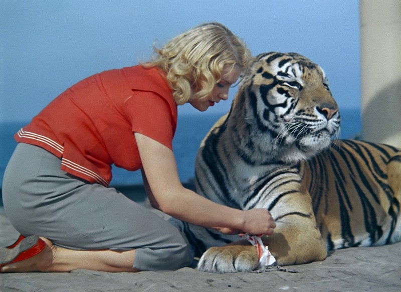 Самые популярные животные-киноактеры Самые популярные животные-киноактеры