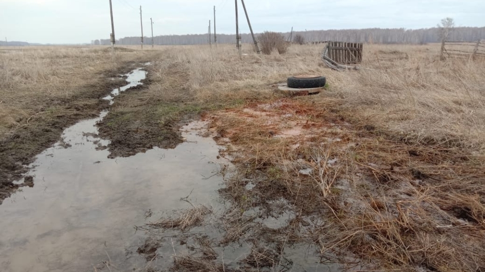 Два месяца без воды сидят жители новосибирской деревни из-за дырявых труб