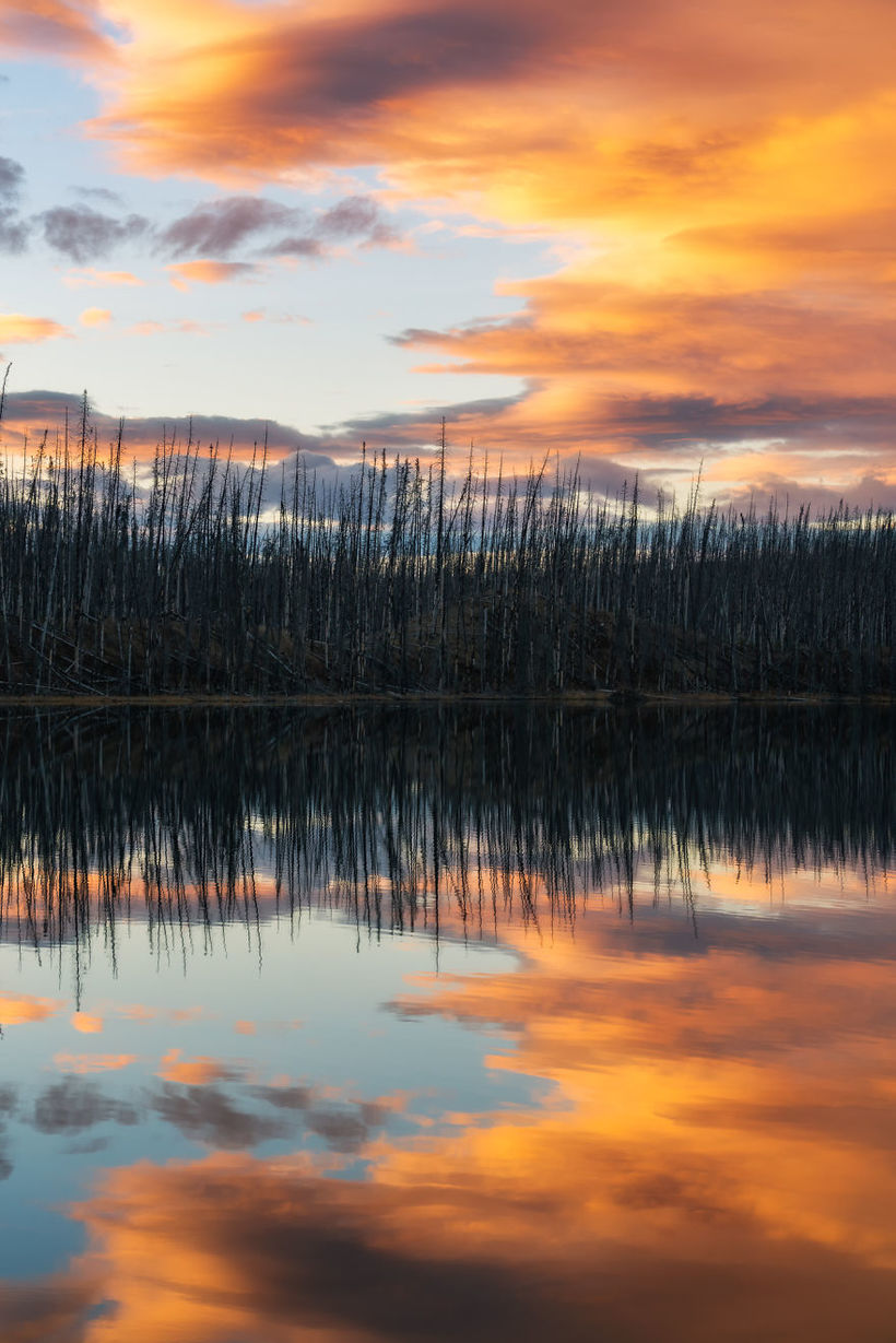 21 фото о сложном и прекрасном характере Аляски 
