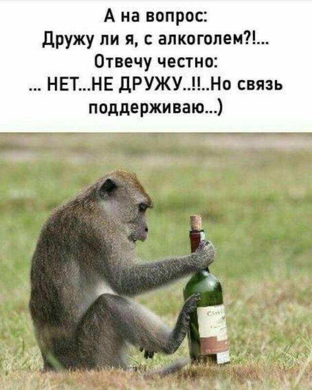 "Стой! Ты ничего не забыл?" - кричу убегающему на работу мужу... Весёлые,прикольные и забавные фотки и картинки,А так же анекдоты и приятное общение