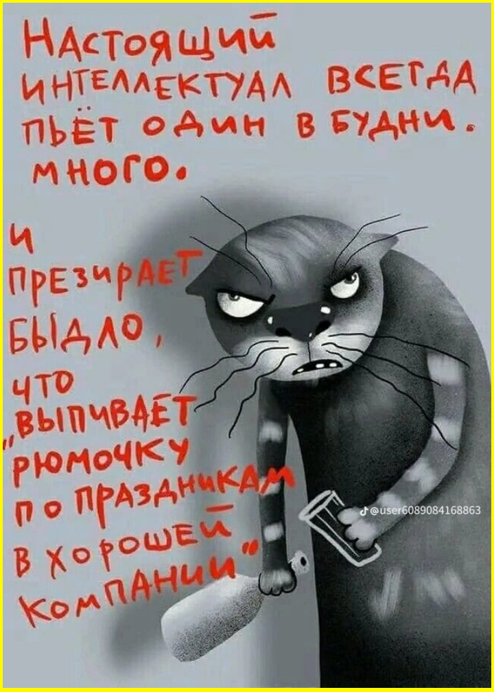 Пятницкий юмор на сон грядущий Пятницкий юмор на сон грядущий