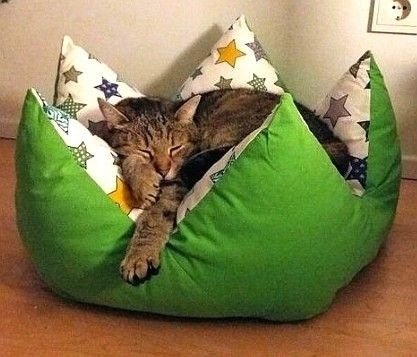 Котодомики 