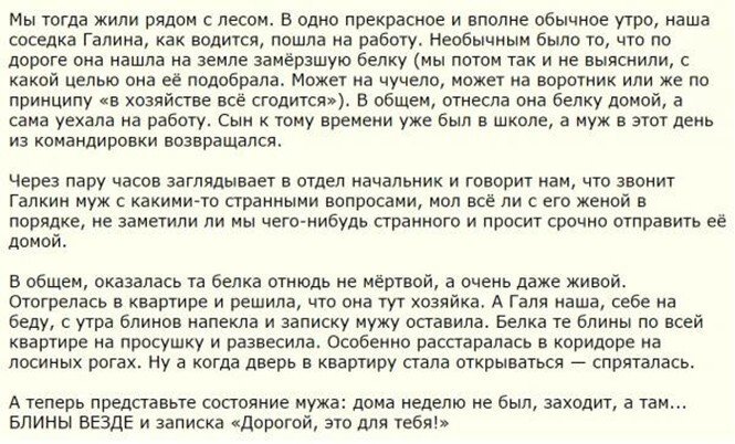 Смешные и познавательные картинки