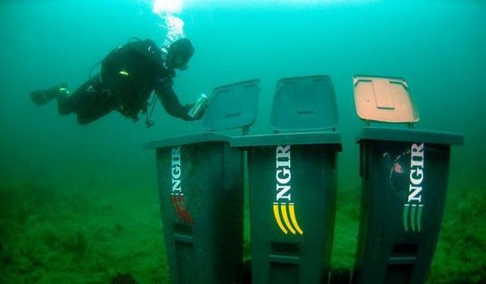 От улыбки хмурый день светлей... От улыбки хмурый день светлей...