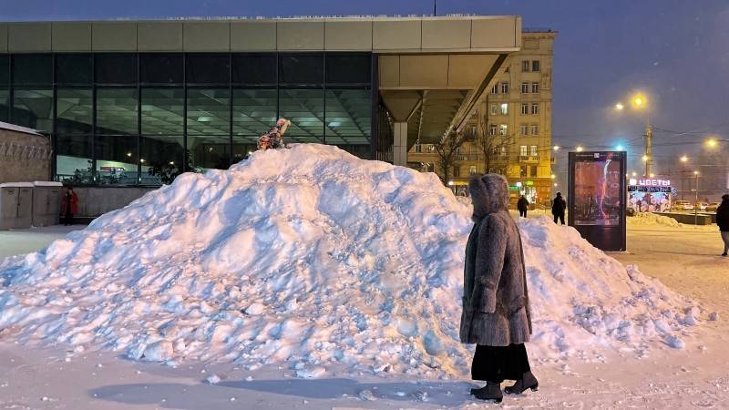 Петербуржец рассказал, как пешеходы выживают в условиях снежного коллапса