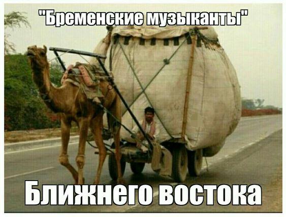 Забавности и различный юмор для чудесного настроения