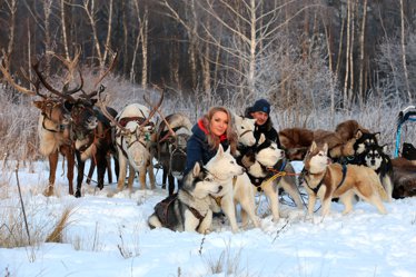 Кусочек красивой зимы с оленями Кусочек красивой зимы с оленями
