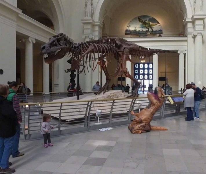 Подборка прикольных картинок  приколы,смешные картинки,юмор