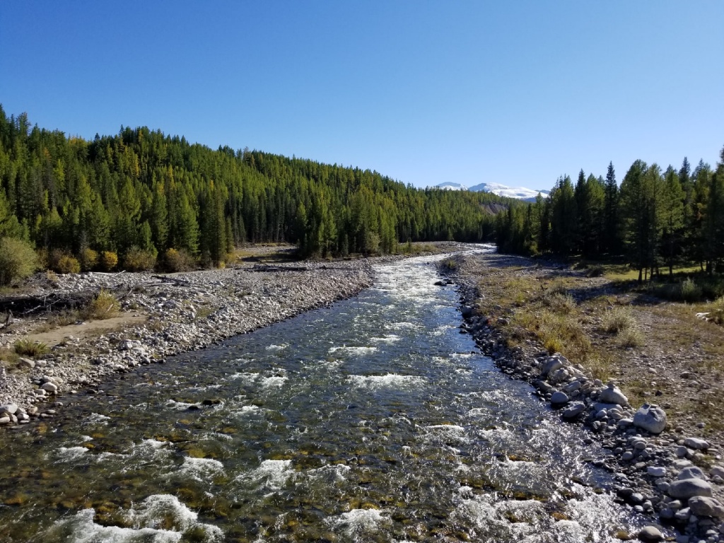 Поход по Горному Алтаю.jpg