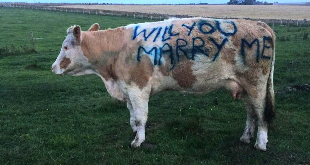 Эти странные законодательные инициативы... 