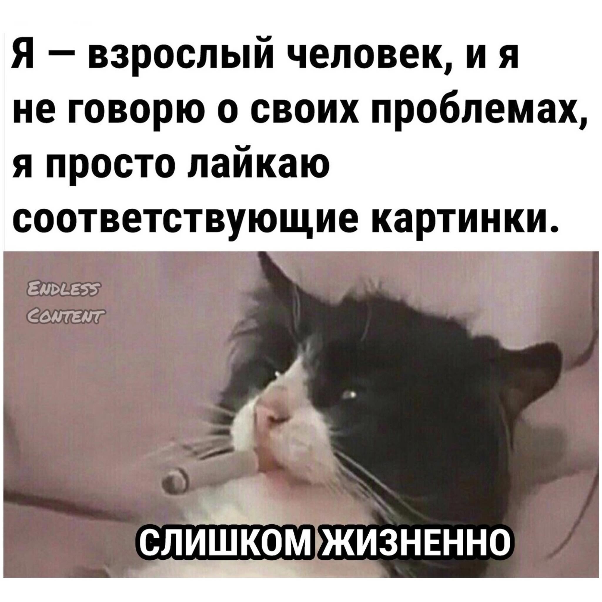 Лень в молодости - это здоровье в старости Лень в молодости - это здоровье в старости
