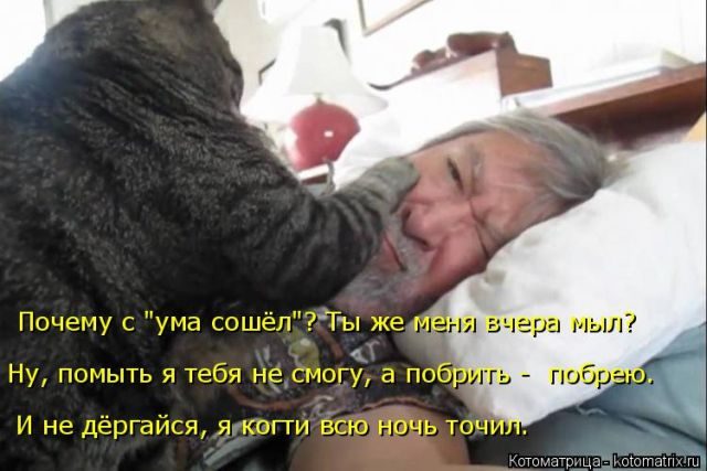Самые смешные котоматрицы за прошедшую неделю