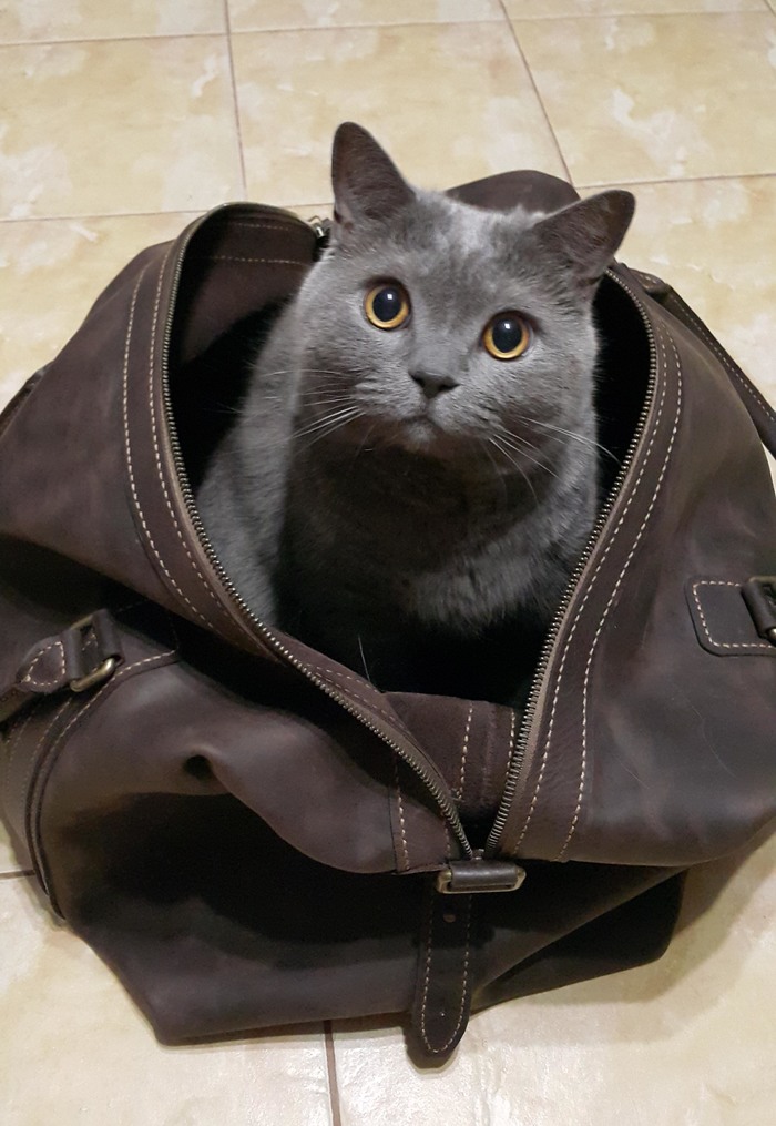 Дорожная сумка из кожи своими руками