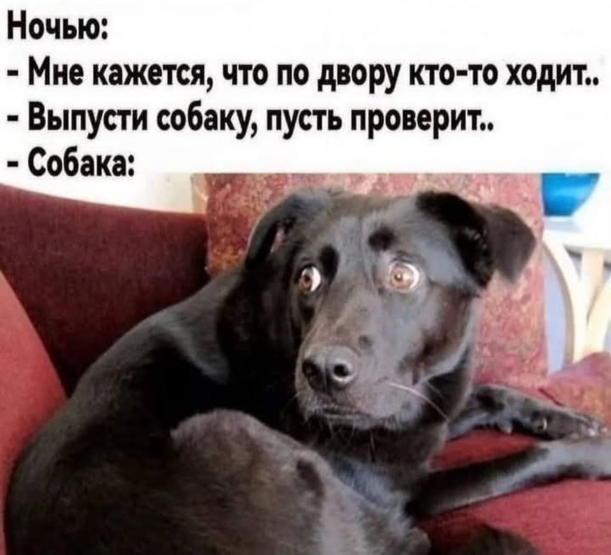 Уволился, потому что работа мешала моему лету Уволился, потому что работа мешала моему лету