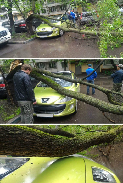 Напугало, но не зацепило.