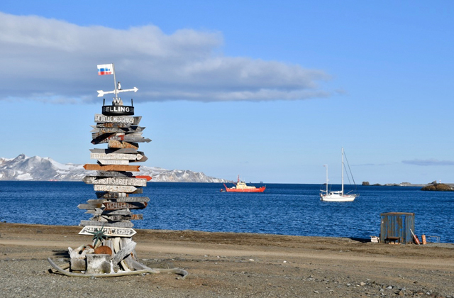 Один день в Антарктиде  