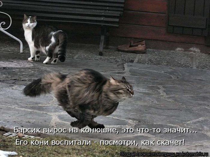 Мысли вслух :)