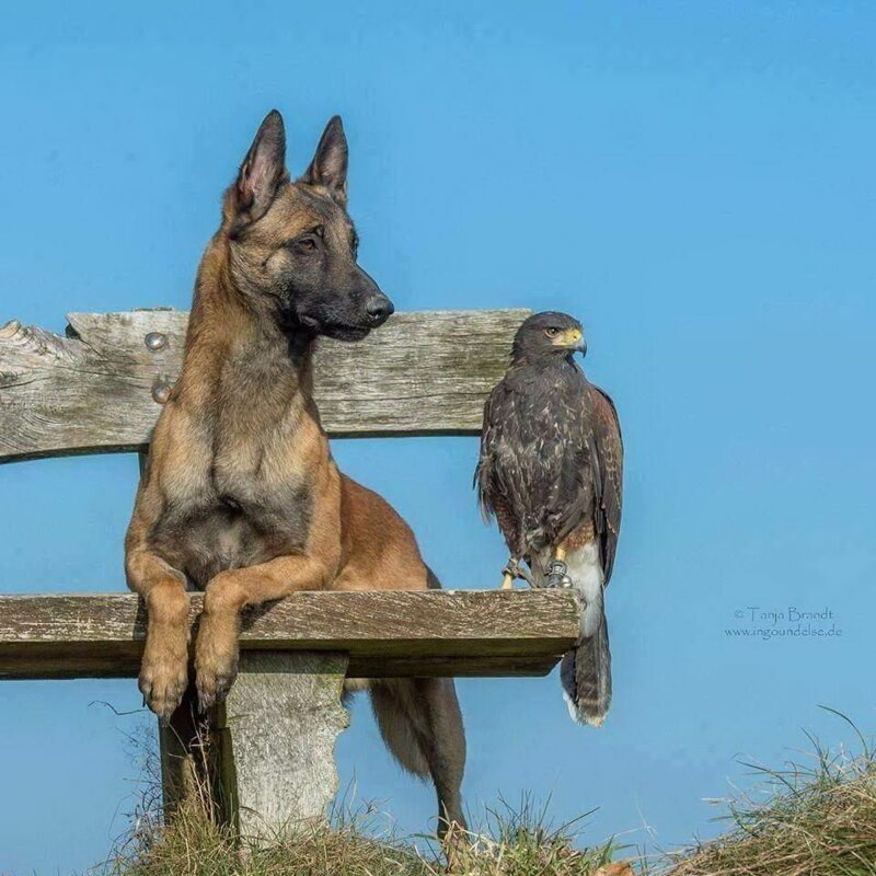 Фото без слов Фотография