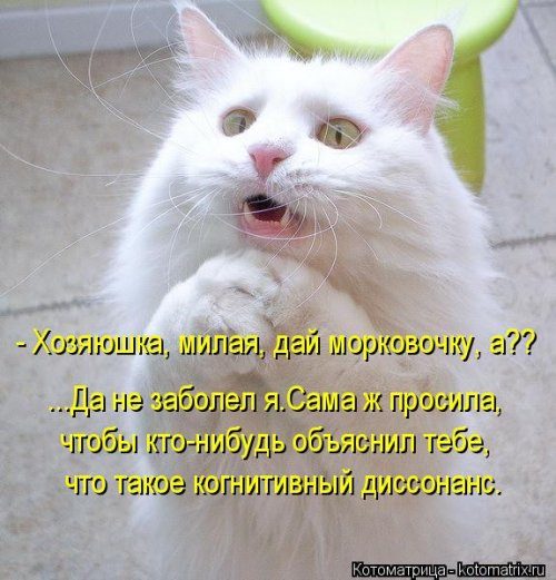 Самые прикольные котоматрицы за прошедшую неделю Самые прикольные котоматрицы за прошедшую неделю