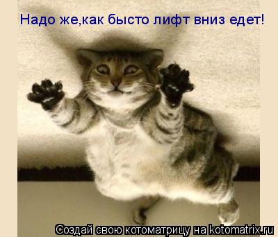 Давайте улыбаться вместе! :) (23улыбоки)