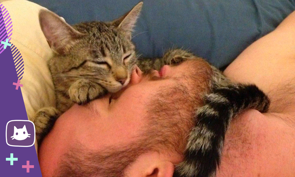 😻Почему ночью кошка спит с человеком