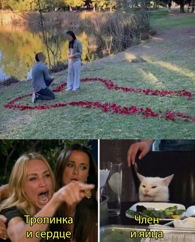 Подборка прикольных картинок  приколы,смешные картинки,юмор