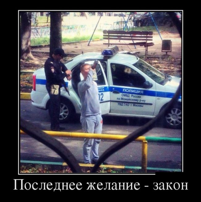 Подборка смешных и позитивных демотиваторов со смыслом (11 фото)