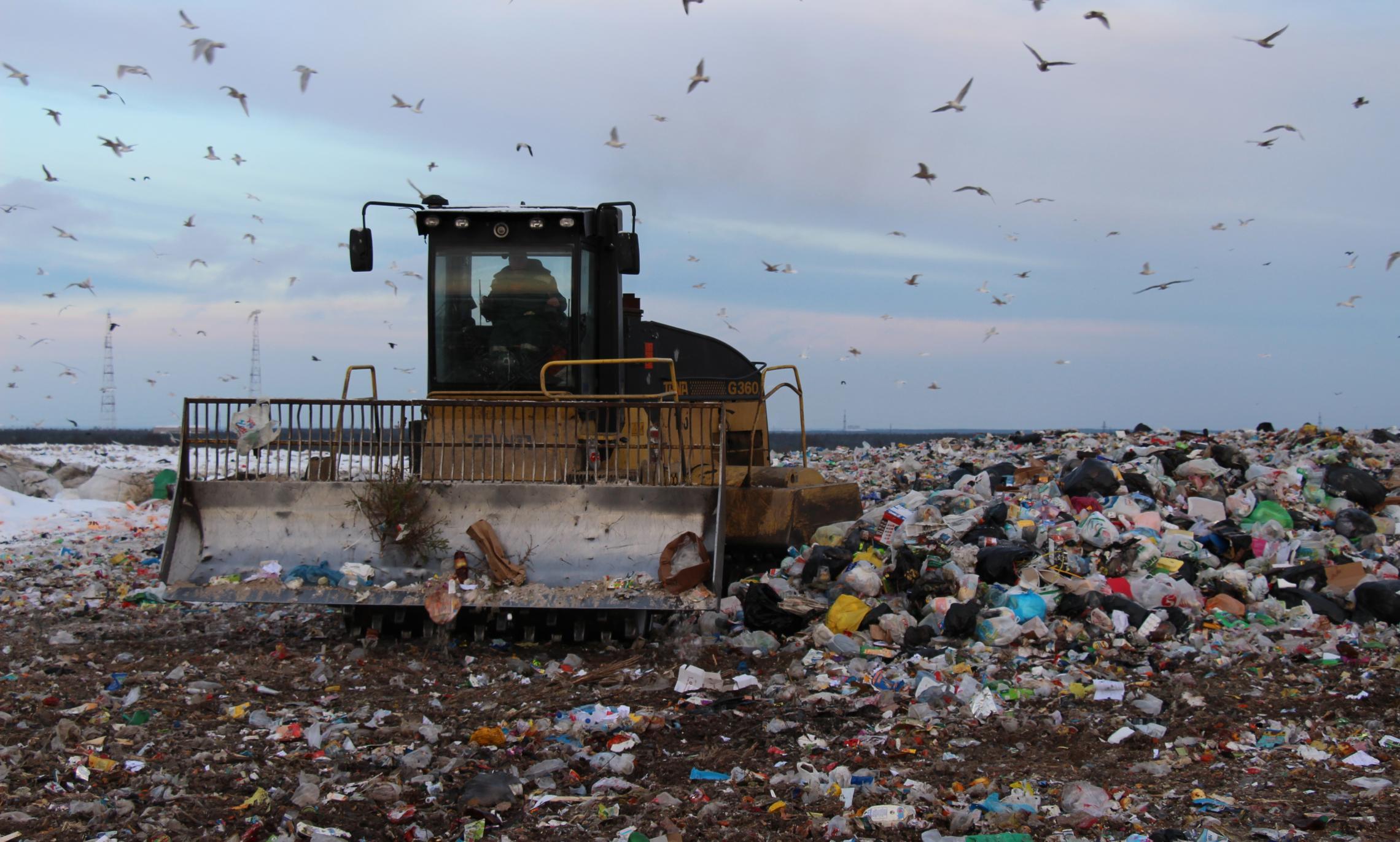 «Повлекло бы рост тарифа»: почему мусор из Няндомского района везут на Каргопольский полигон