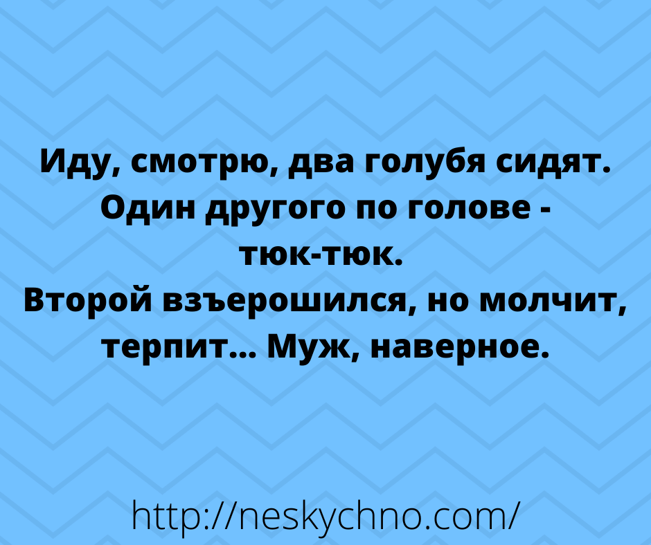 Немного свежих анекдотов для хорошего настроения 
