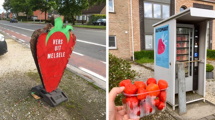 19 впечатляющих снимков из Бельгии, после которых вы влюбитесь в эту страну по уши Бельгия,Европа,страноведение