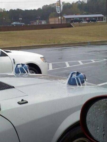 Прикольные картинки картинки из сети, прикол, юмор