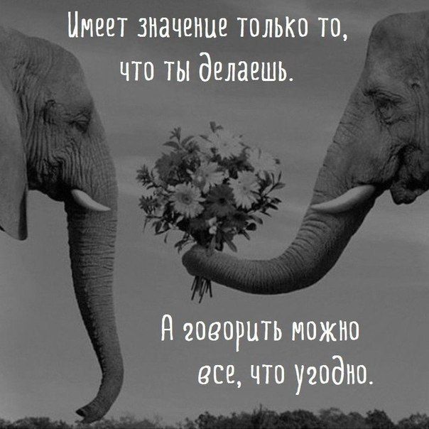 Маленьких открытки, картинка с жизненными надписями