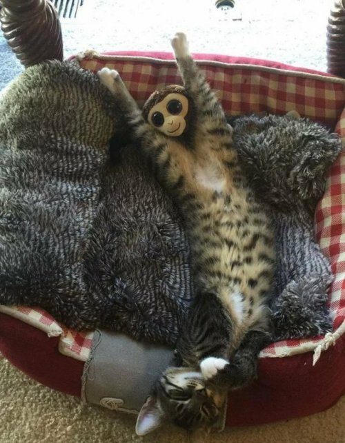 Невероятные фотоиллюзии