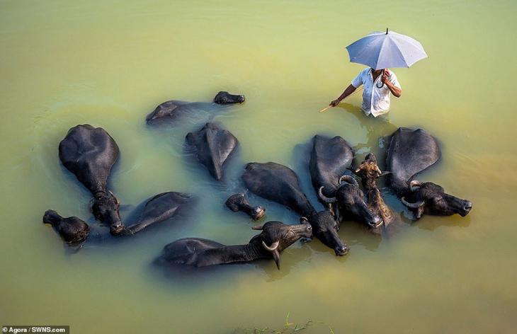 Водный мир: лучшие фотографии 