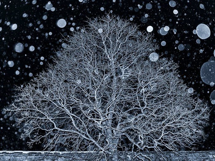 Наша потрясающая планета: 30 лучших пейзажей с конкурса Landscape Photographer Of The Year Наша потрясающая планета: 30 лучших пейзажей с конкурса Landscape Photographer Of The Year природа