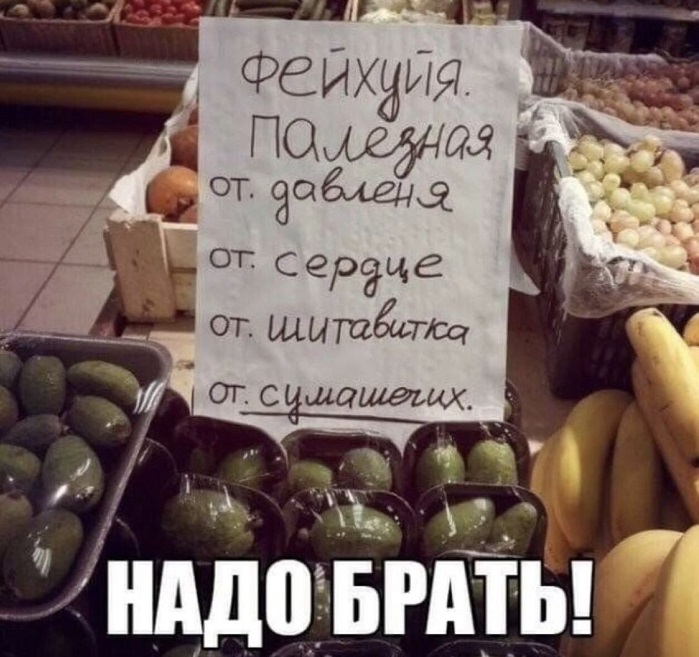 Человеку свойственно ошибаться, и он пользуется этим свойством часто и с удовольствием 