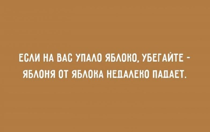 Эти открытки буквально наполнены оптимизмом и здравым сарказмом 