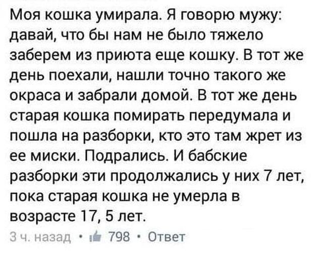 23 женских прикола Писца. Смейтесь на здоровье! позитив,смешные картинки,юмор