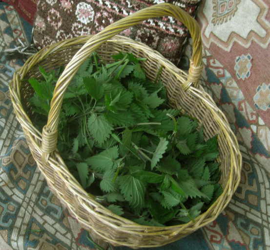 Народные рецепты лечения радикулита: 9 простых эффективных способов. Без таблеток будет бит мучительный радикулит