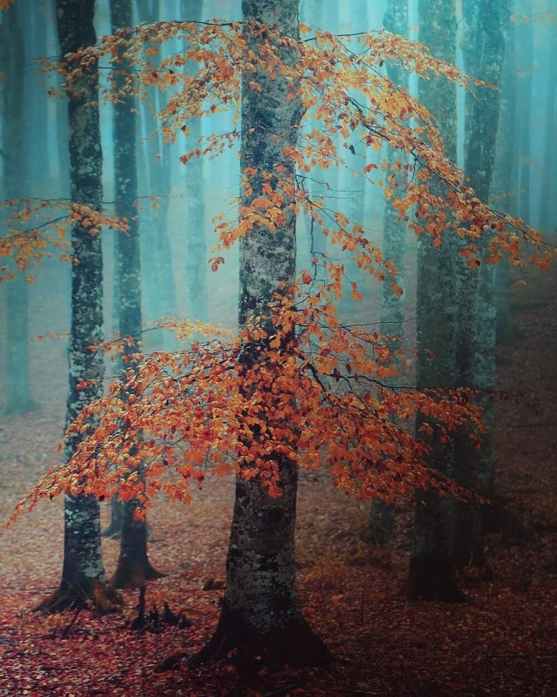 Потрясающие снимки из разных уголков нашей замечательной планеты Потрясающие снимки из разных уголков нашей замечательной планеты