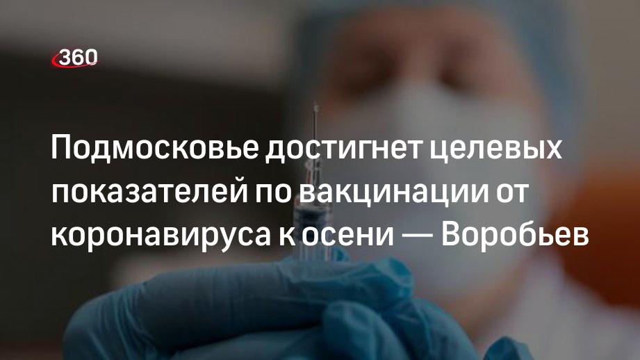 Подмосковье достигнет целевых показателей по вакцинации от коронавируса к осени — Воробьев