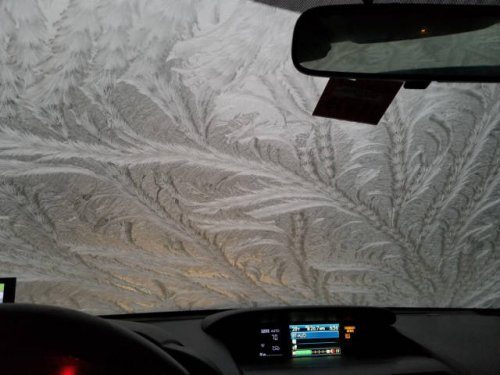 Фотоприколы и картинки дня Фотоприколы и картинки дня