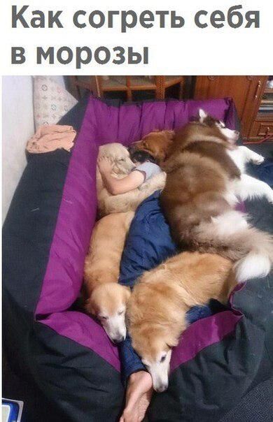 Классный юмор для отличного настроения