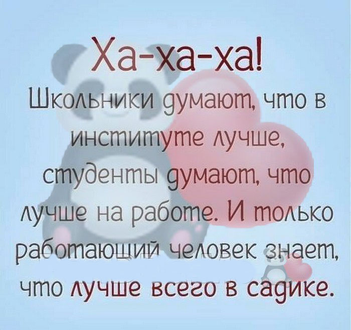 Интересная подборка из 15 коротких смешных и жизненных историй из сети Интересная подборка из 15 коротких смешных и жизненных историй из сети