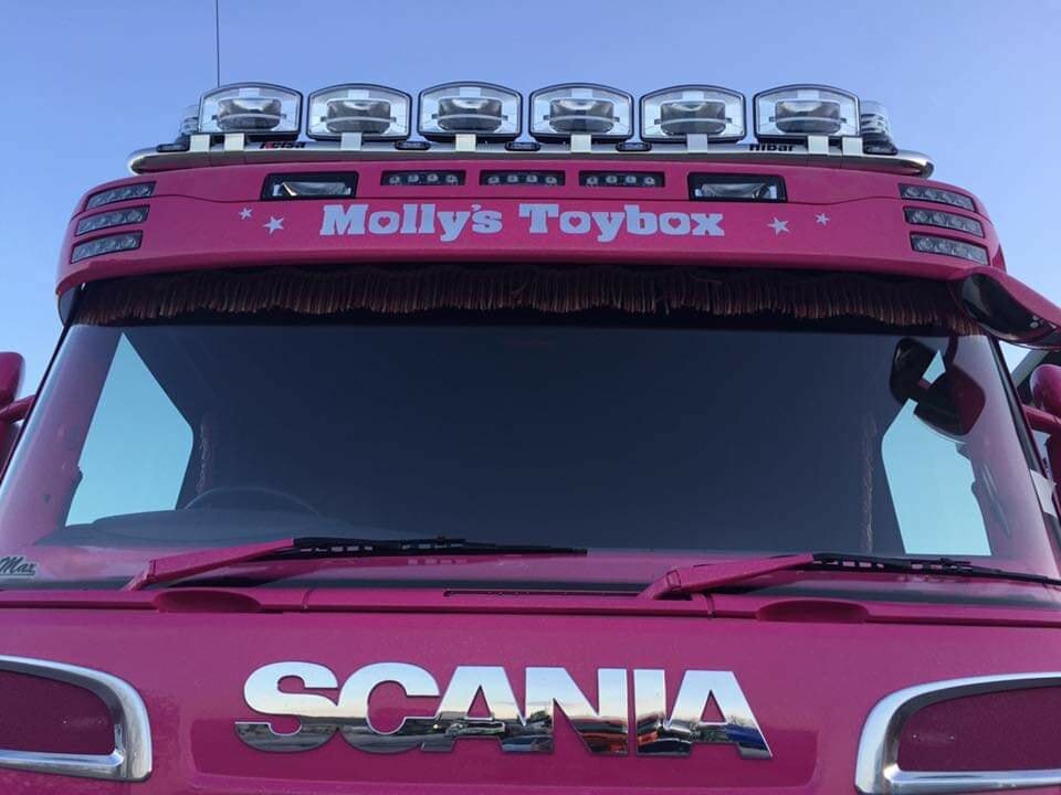 Ярко-розовый грузовик самосвал Scania “Принцесса” - он собирает пожертвования для маленьких пациентов Ярко-розовый грузовик самосвал Scania “Принцесса” - он собирает пожертвования для маленьких пациентов авто