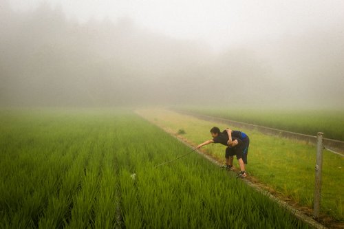 Причудливые и необычные моменты из жизни японцев в фотографиях Сина Ногути 