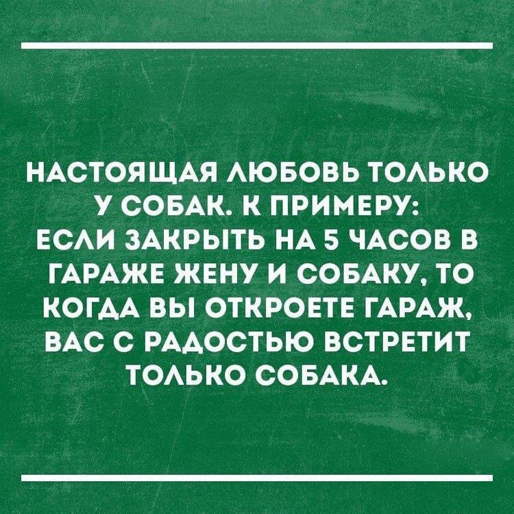 Смешные и жизненные анекдоты, которые точно заставят вас хохотать картинки,юмор