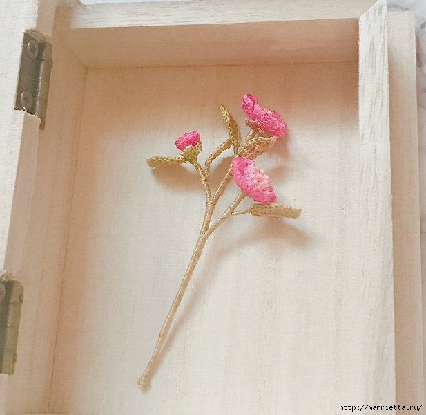 Веточка цветущего шиповника крючком