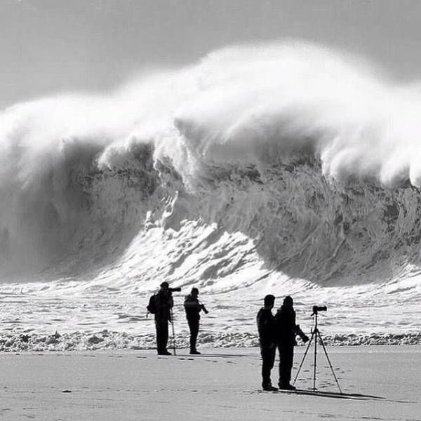 Прикольные фотографии (109 фото)